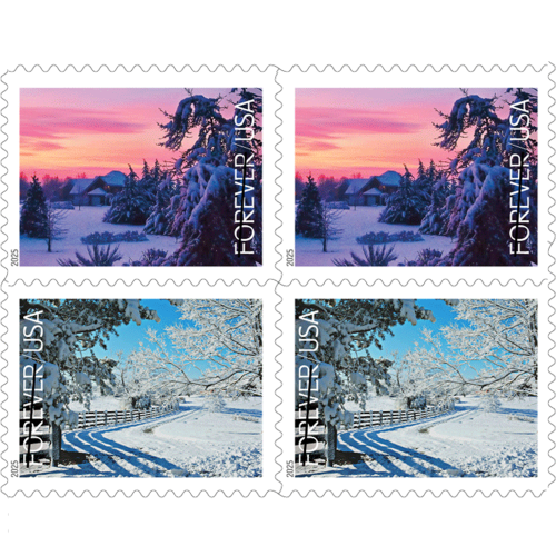 Winter Landscapes - 5 Booklets / 100 Pcs