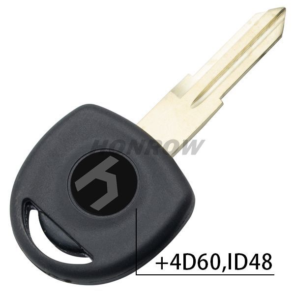 For Bu transponder key