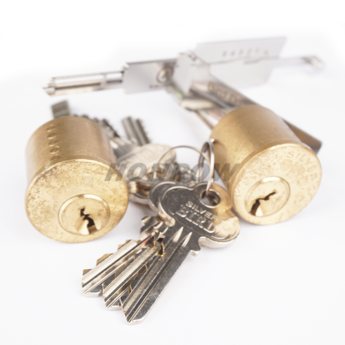 Lishi Tool Brid D113 SS368 2 in 1 lock pick lishi style lock pick  2 in 1 tool for TAIWAN Bird brand