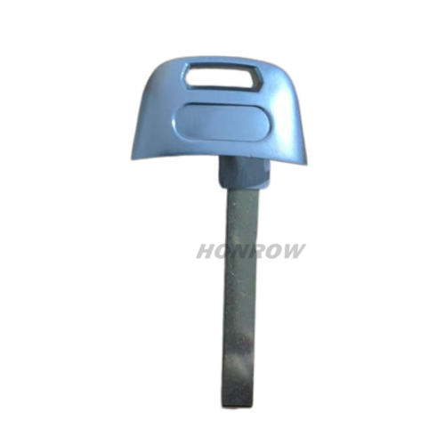 For Audi emergency Key blade
