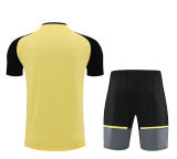 2024/25 BVB Yellow Training Jersey(A Set)