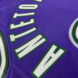 The Bucks ANTETOKOUNMPO #34 purple Retro NBA Jerseys