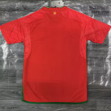 BALE #11 Wales Home Red Fans Jersey 2022/23