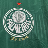 2024/25 Palmeiras Home Green Vest Jersey