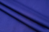 2024/25 Germany Purple Sweater Tracksuit