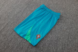 2024/25 Portugal Light Green Training Jersey(A Set)