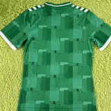 2023/24 Saint-Étienne Home Green Player Version Soccer Jersey 圣埃蒂安