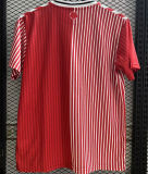 2023/24 Southampton Home Fans Soccer Jersey
