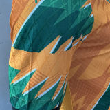 2024 Ivory Coast Special Edition Orange Player Version Jersey