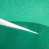 2023/24 PSG Green Goalkeeper Long Sleeve Jersey