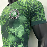 2022/23 Nigeria Home Green Player Version Jersey