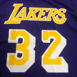 JOHNSON # 32 Lakers Purple Mitchell Ness Retro Jerseys