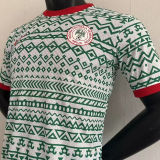 2023/24 Nigeria Player Version Training Jersey
