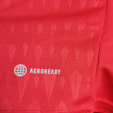 2022/23 Argentina Red Goalkeeper Fans Jersey (3 Stars 3星)