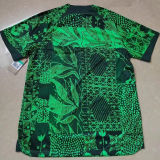 2022/23 Nigeria Home Green Fans Soccer Jersey