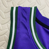 The Bucks ANTETOKOUNMPO #34 purple Retro NBA Jerseys