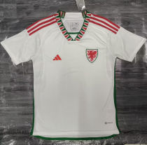 2022/23 Wales Away White Fans Soccer Jersey