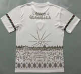2024 Fluminense Special Edition Fans Soccer Jersey