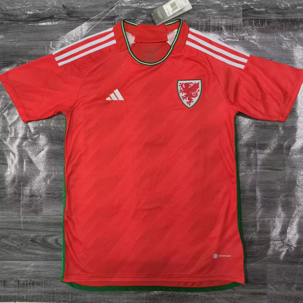 2022/23 Wales Home Red Fans Soccer Jersey