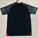 2023/24 Mexico Fans Soccer Jersey