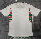 2022/23 Wales Away White Fans Soccer Jersey