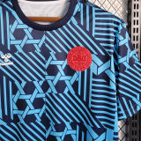 2023/24 Denmark Training Jersey