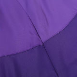 2023/24 Sanfrecce Hiroshima Purple Windbreaker 广岛三箭