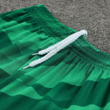 2023/24 BA Green Goalkeeper Fans Jersey (A Set, Pants Have Number) 裤有号码