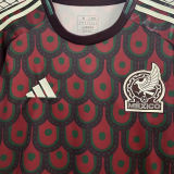 CHICHARITO #14 Mexico 1:1 Quality Fans Soccer Jersey 2024/25