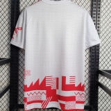 2023/24 Union Berlin Special Edition Fans Soccer Jersey