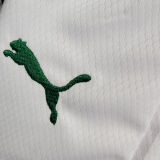 2023/24 Palmeiras Home Green Kids Soccer Jersey