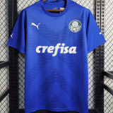 2023/24 Palmeiras Dark Blue Goalkeeper Soccer Jersey