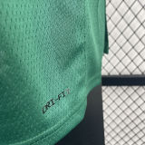 2023/24 Celtics PORAIGIS #8 Green NBA Jerseys 热压