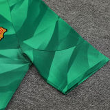 2023/24 BA Green Goalkeeper Fans Jersey (A Set, Pants Have Number) 裤有号码