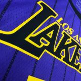 2018 LA Lakers JAMES # 23 Purple Stripe Limited Edition NBA Jerseys Hot Pressed