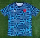 2023/24 Denmark Training Jersey
