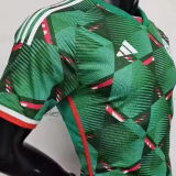 2024 Algeria Green Special Edition Player Version Jersey
