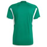 2022/23 Algeria Away Green Fans Jersey