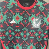 2023/24 Mexico Fans Soccer Jersey