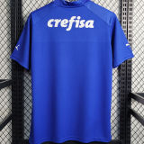 2023/24 Palmeiras Dark Blue Goalkeeper Soccer Jersey