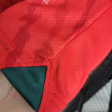 2023/24 Morocco Home Red Fans Soccer Jersey