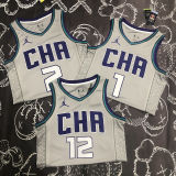 Hornets BALL #2 Grey NBA Jerseys