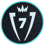 CONCACAF Champions Cup 7 Patch 7字杯 美冠杯臂章 (You can buy it Or tell me to print it on the Jersey )