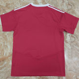 2023/24 Murcia Home Red Fans Soccer Jersey