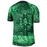 2022/23 Nigeria Home Green Player Version Jersey