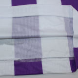 2023/24 Real Valladolid Home Fans Soccer Jersey