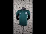 2014/15 Palmeiras Home Centenary Green Retro Jersey