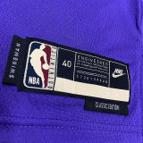 The Bucks ANTETOKOUNMPO #34 purple Retro NBA Jerseys