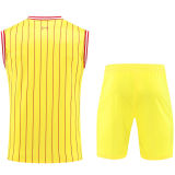 2024/25 Liv Yellow Vest Training Jersey(A Set)