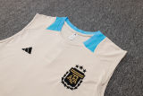 2024/25 Argentina Grey Vest Training Jersey(A Set)